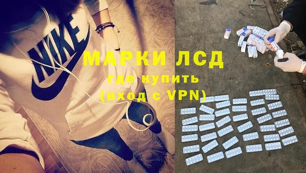 стаф Дмитров